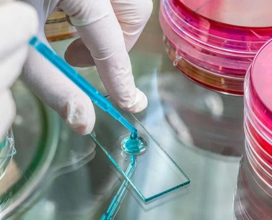 depositphotos_31145309_xl