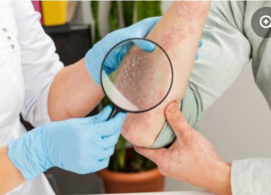 whatsapp-image-2025-08-25-at-14.47.59